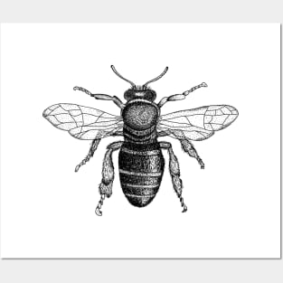 Hand drawn Bee Posters and Art